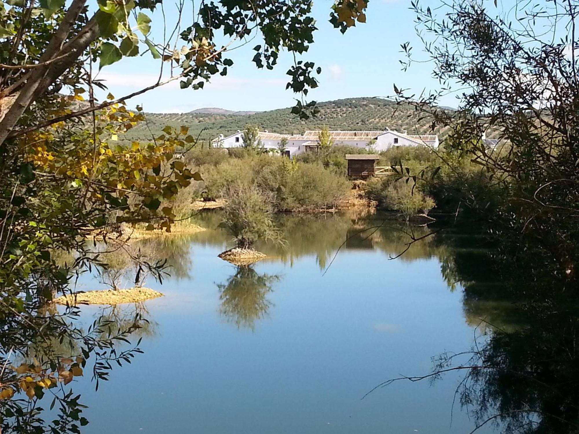 Complejo Turistico Rural Fuente Taray Apartment Malagón Exterior foto
